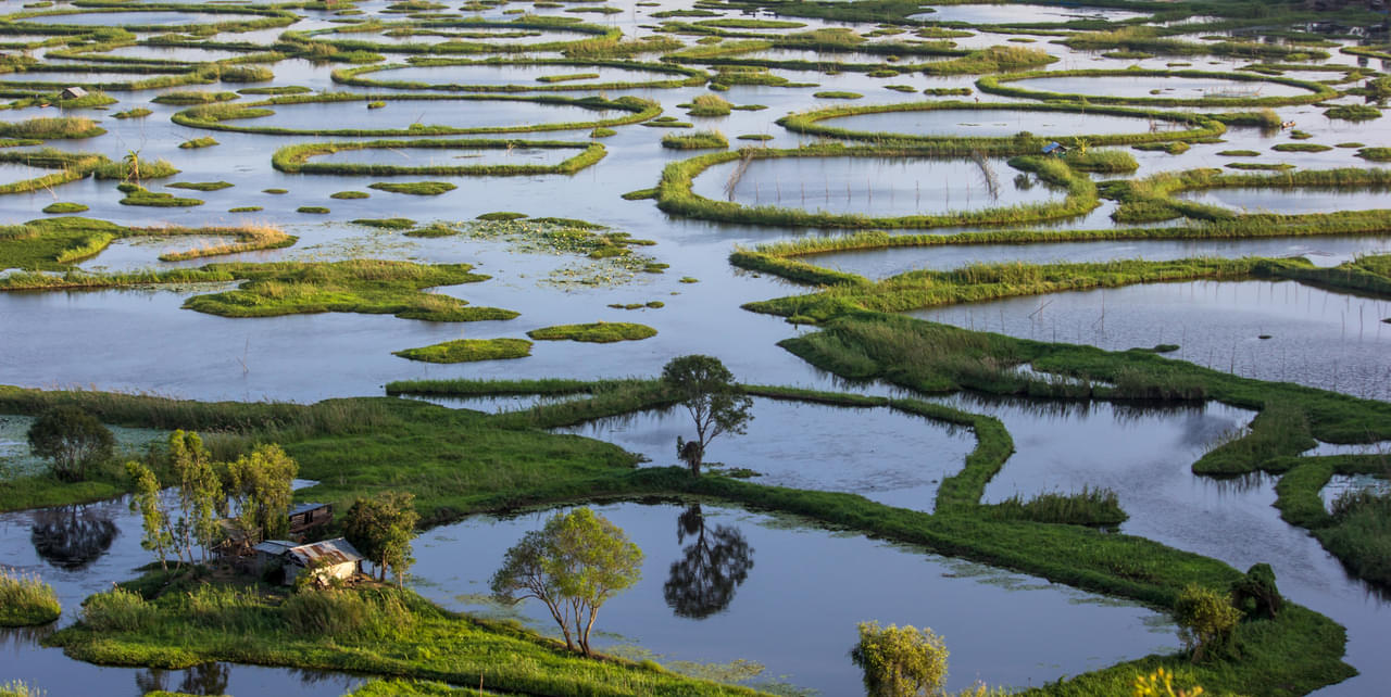 Meghalaya